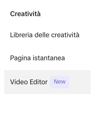 video editor in TikTok Ads
