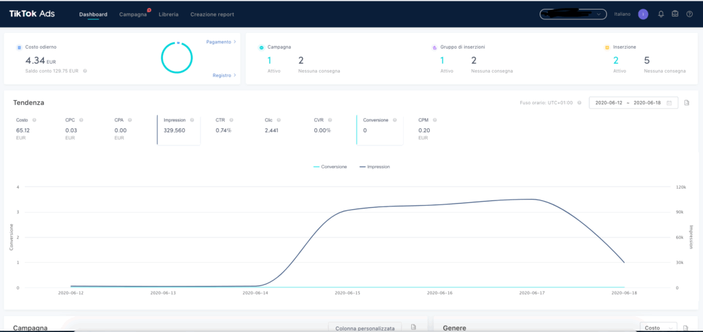 prime campagne tiktok ads